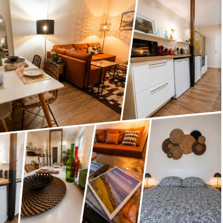 Les Beaux Volumes - Grand T2 rénové tout confort - Appartement 1 Chambre - 2