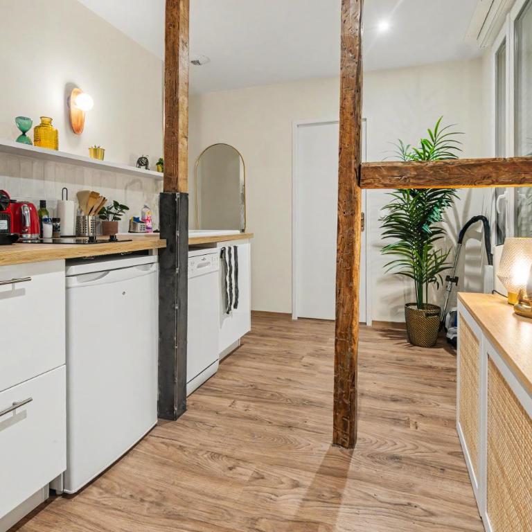 Les Beaux Volumes - Grand T2 rénové tout confort - Appartement 1 Chambre - 10