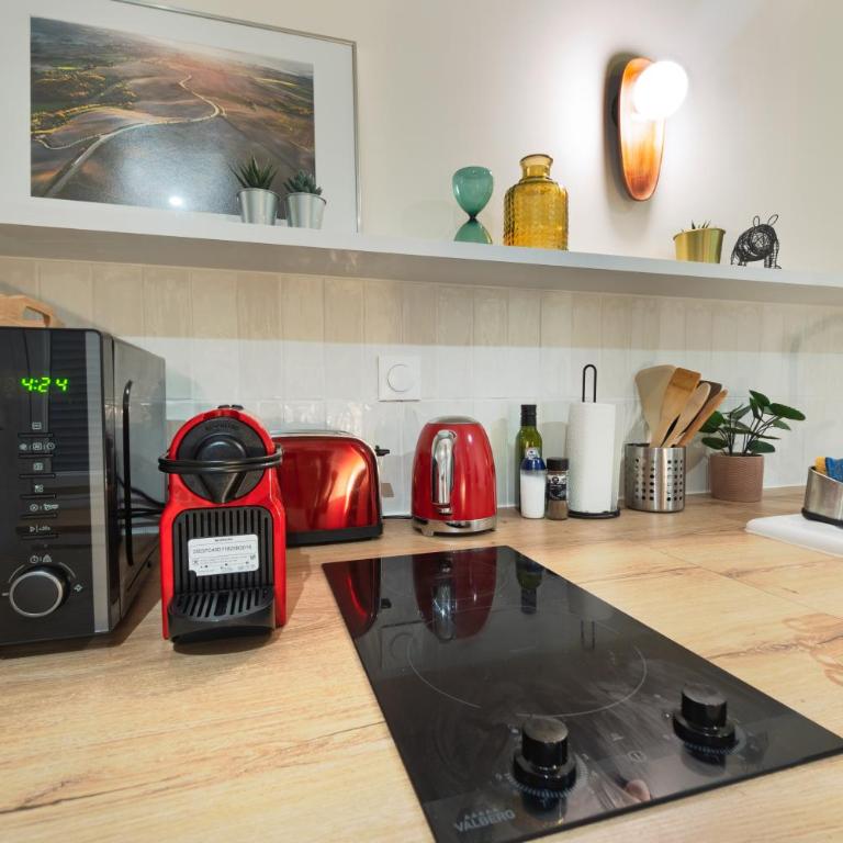 Les Beaux Volumes - Grand T2 rénové tout confort - Appartement 1 Chambre - 13