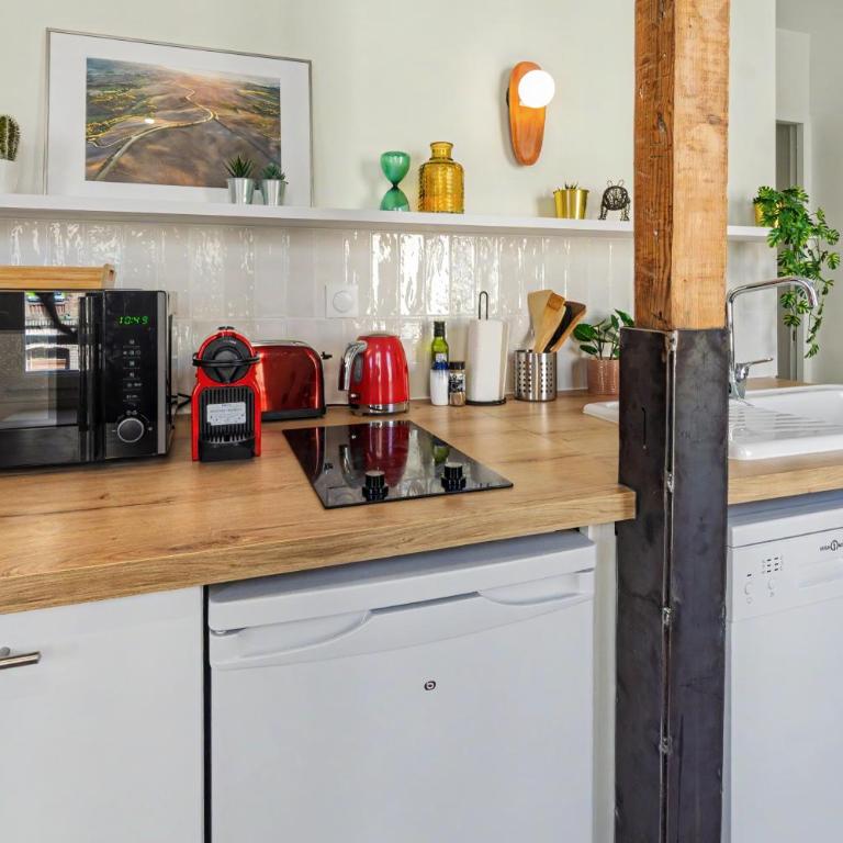 Les Beaux Volumes - Grand T2 rénové tout confort - Appartement 1 Chambre - 4