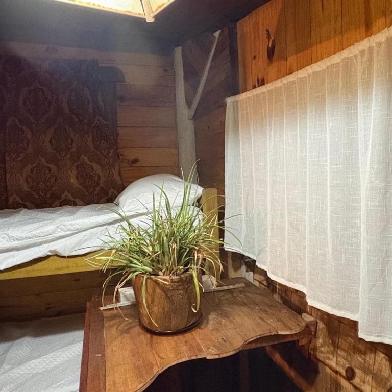 Ferana - One-Bedroom Apartment - 6