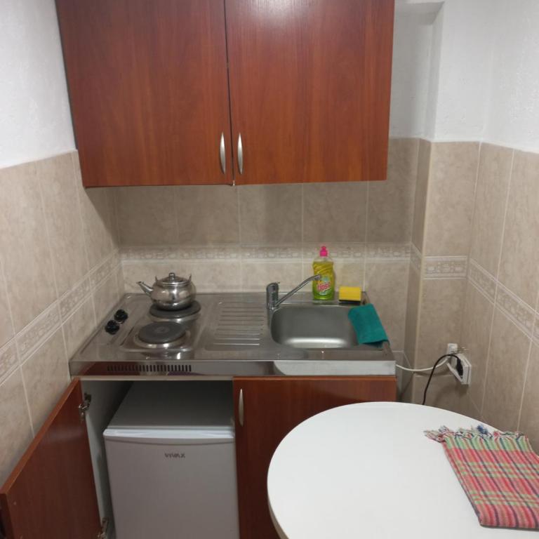 Apartmani Sobe Šljivančanin - Apartman sa 1 Spavaćom Sobom - 19