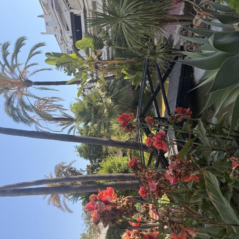 Casa en Marbella para 6 con playa y 2 piscinas - Casa de 2 dormitorios - 41
