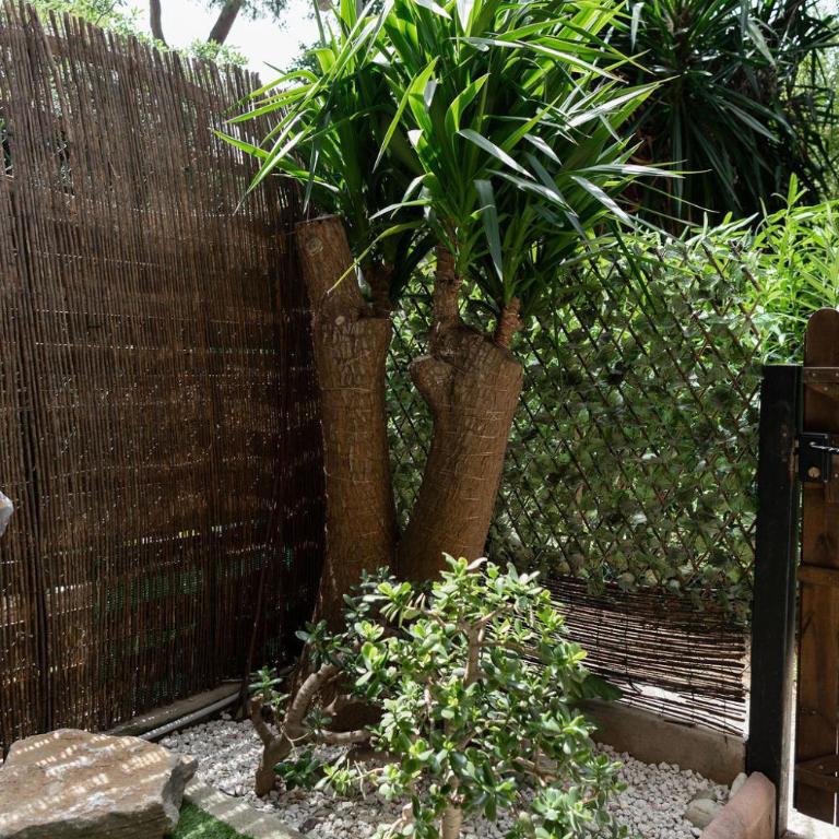 Ambiance Cabane-proche MER - CLIM - Appartement - Vue sur Jardin - 29