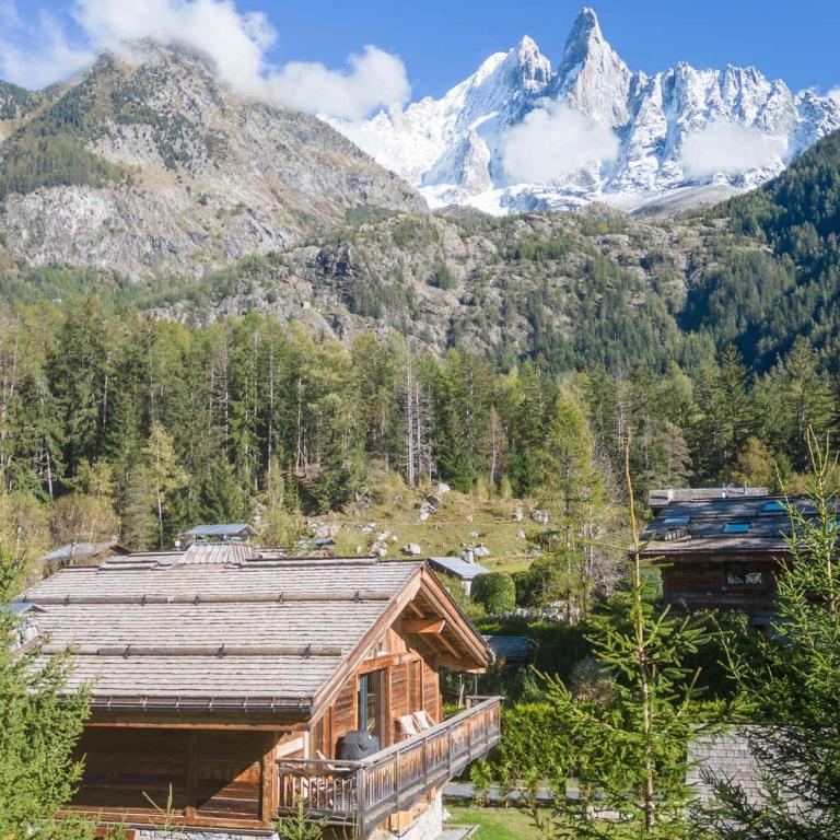 Luxueux Chalet avec Spa et Vue sur Mont Blanc - FR-1-343-253 - Chalet mit 3 Schlafzimmern - 18