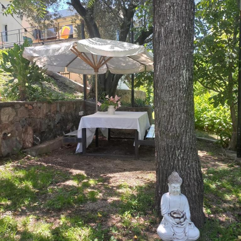 Tere & Tino Cabañas - Cottage with Garden View - 8