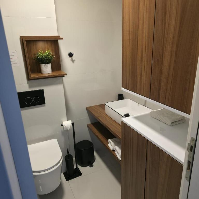 Apartman Alex21 Zlatibor - Apartment mit 2 Schlafzimmern - 10
