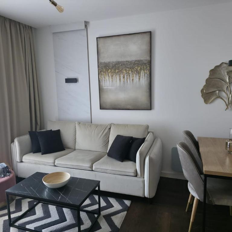 Apartman Alex21 Zlatibor - Apartment mit 2 Schlafzimmern - 3