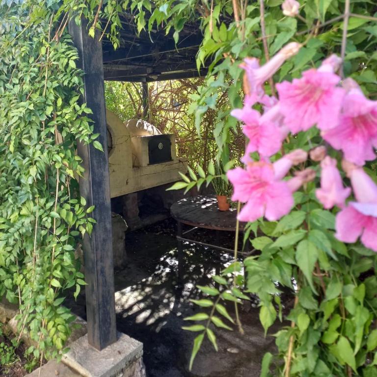 Tere & Tino Cabañas - Cottage with Garden View - 7