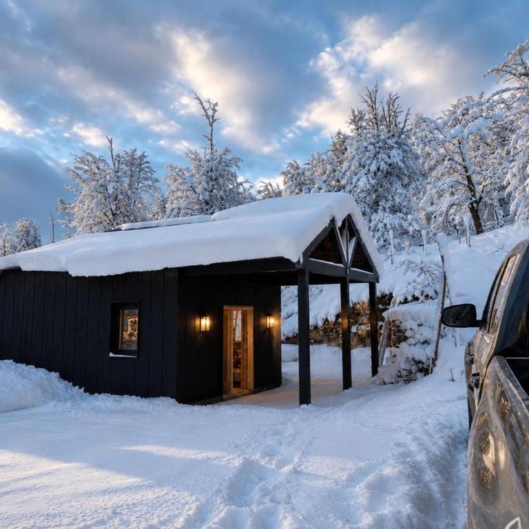 Canela Ski Lodge - Casa de 4 dormitorios - 4
