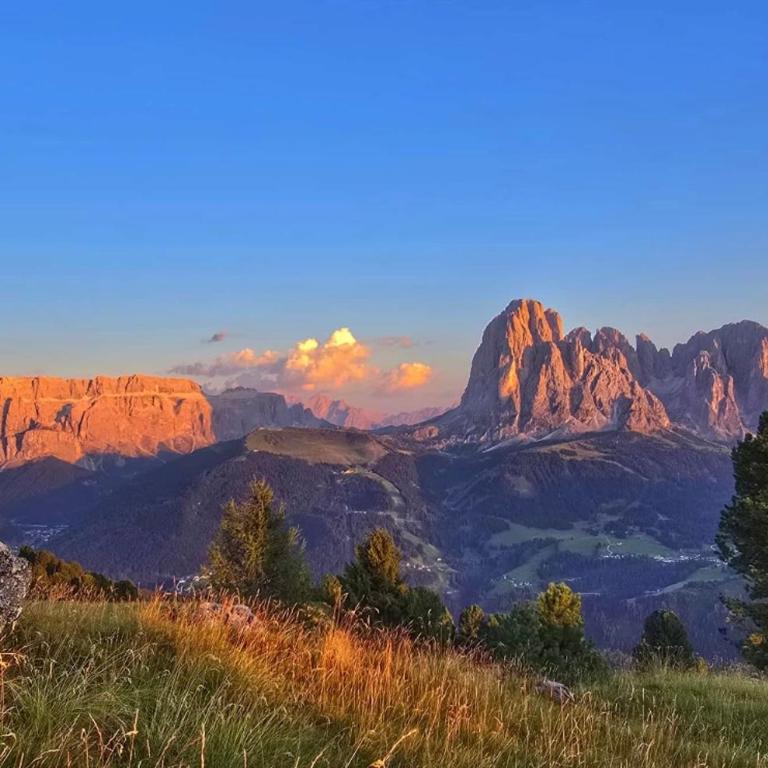 Apartment Cesa Collina - Superior Suite - Appartamento Superior - 24
