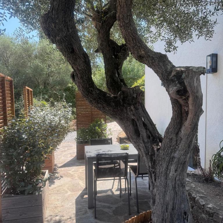 La Kalliste rez-de-villa - Appartement 1 Chambre - 12