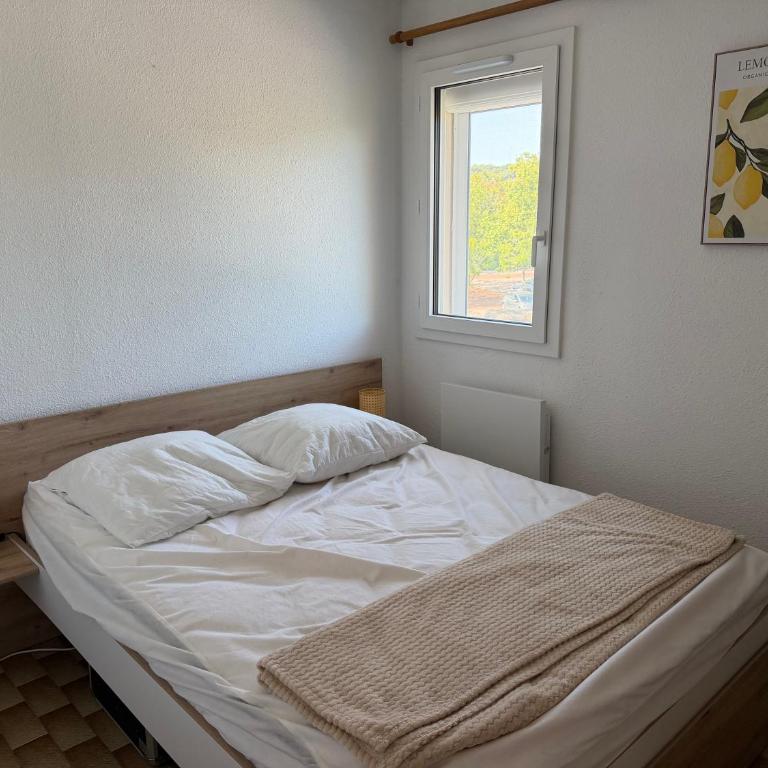 2 pièces cabine, calme, proximité du centre port, plage richelieu, île des loisirs - Appartement-Studio avec 1 Lit Double - 6
