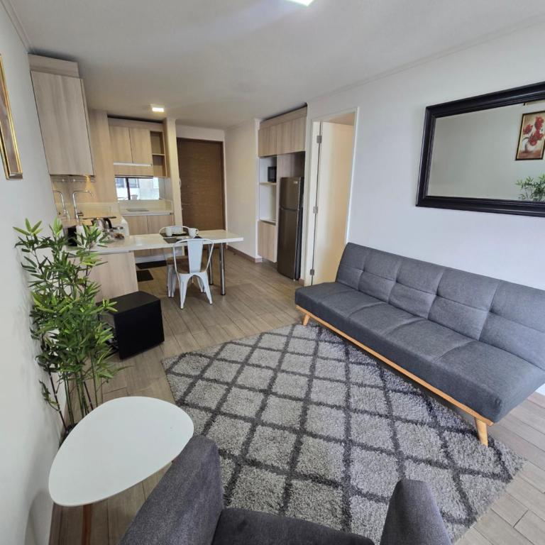 Departamento Temuco Centro - Apartamento de 1 dormitorio - 9