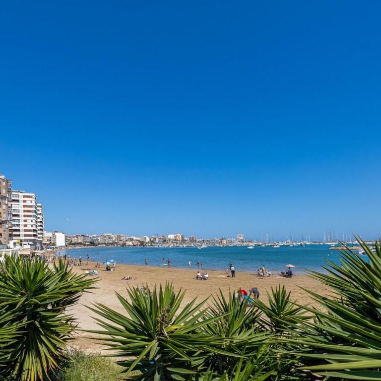 Mar Azul Los Náufragos - Apartamento de 1 dormitorio - 13