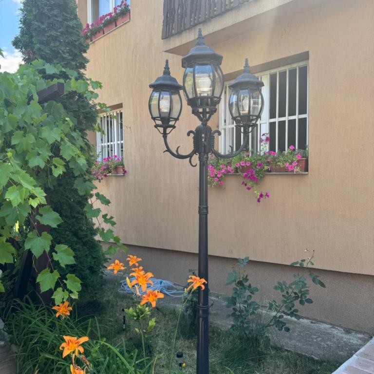 Apartments FAMILY & FRIENDS -free parking - Apartment - 1