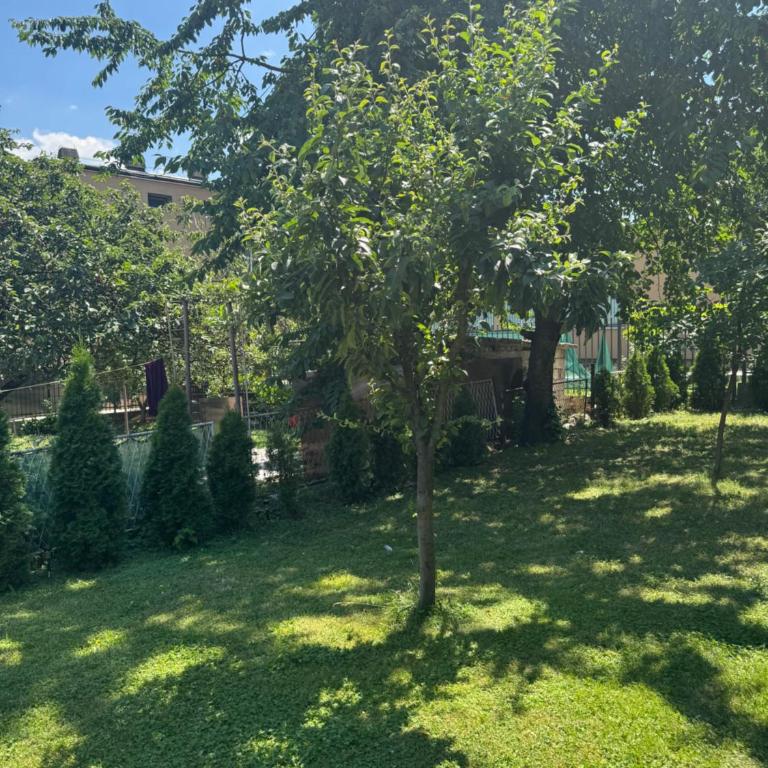 Apartments FAMILY & FRIENDS -free parking - Superior Studio - 4