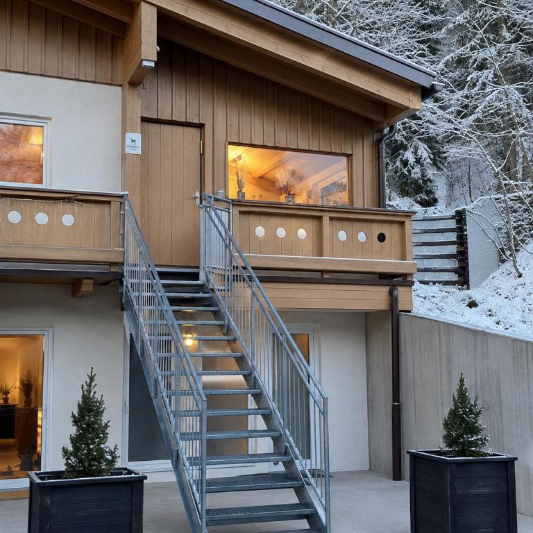 Haus Dienten Apartments nahe den Bergbahnen mit HochkönigCard - Apartment mit 2 Schlafzimmern mit Balkon und Terrasse - 1