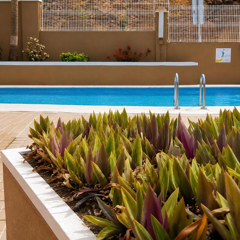 Comfort in Playa las Americas - Apartment mit 1 Schlafzimmer - 16