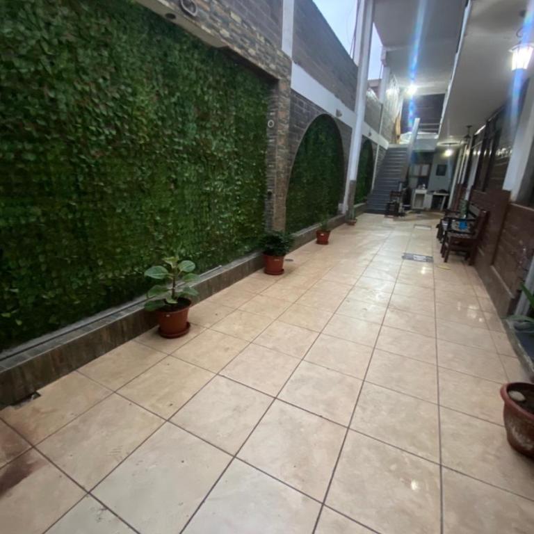 Punta rocas beach - Apartment - 2
