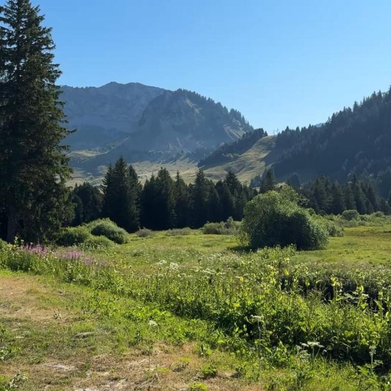La Source Relaxation & Nature - Appartement 2 Chambres - 8