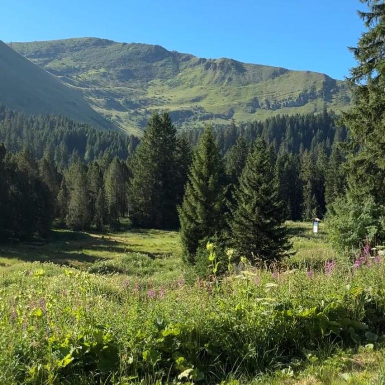 La Source Relaxation & Nature - Appartement 2 Chambres - 13