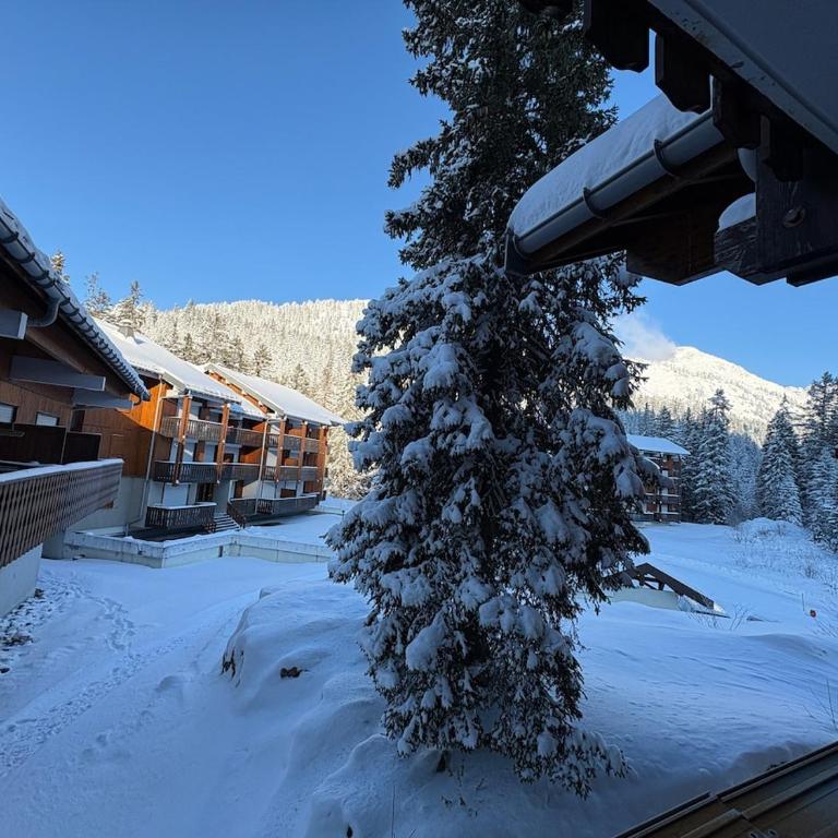 La Source Relaxation & Nature - Appartement 2 Chambres - 17