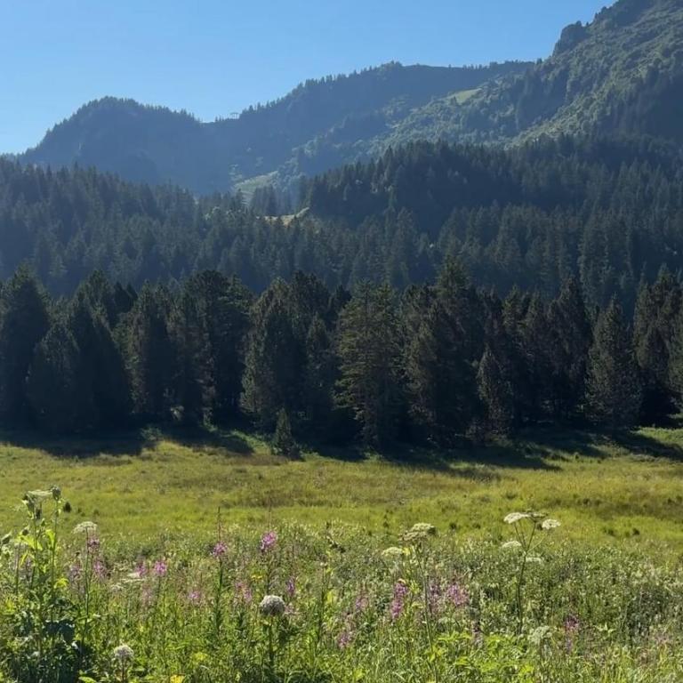 La Source Relaxation & Nature - Appartement 2 Chambres - 18