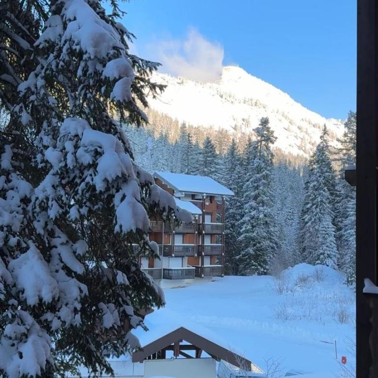 La Source Relaxation & Nature - Appartement 2 Chambres - 19