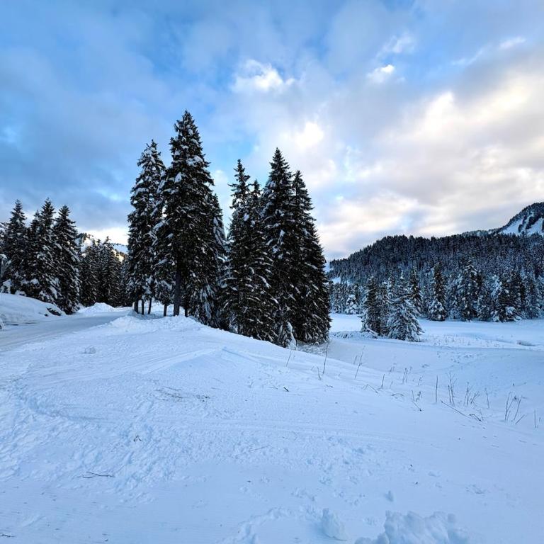 La Source Relaxation & Nature - Appartement 2 Chambres - 20