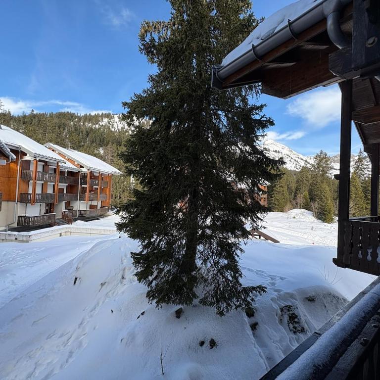 La Source Relaxation & Nature - Appartement 2 Chambres - 25