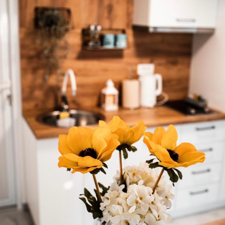 Apartman Emili Kotor-Ljesevici - One-Bedroom Apartment - 6