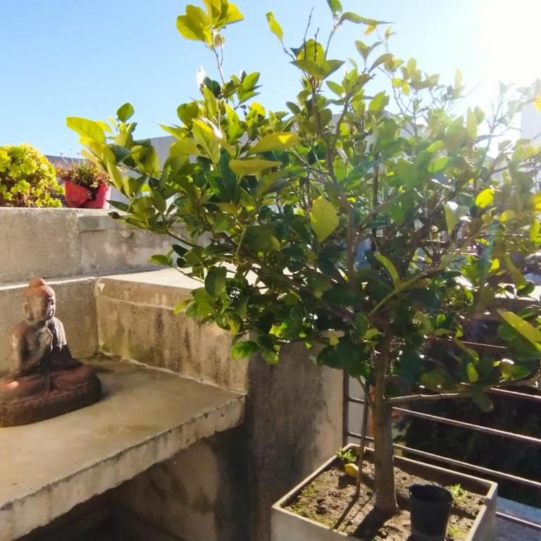 Departamento con Terraza, Parrilla y Fácil Acceso - Apartamento de 1 dormitorio - 17