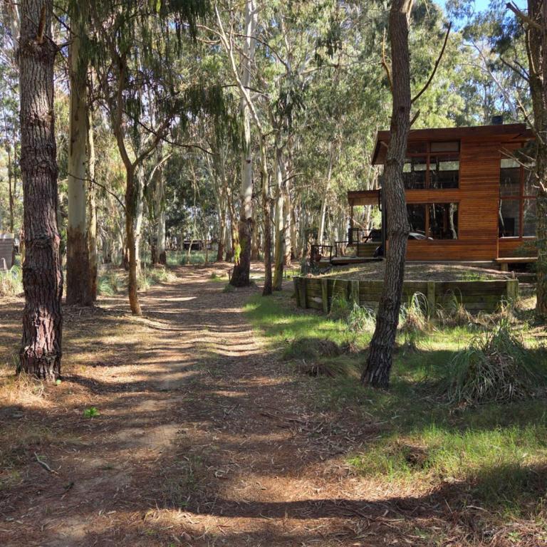 Al Bosque - Casa de 4 dormitorios - 12