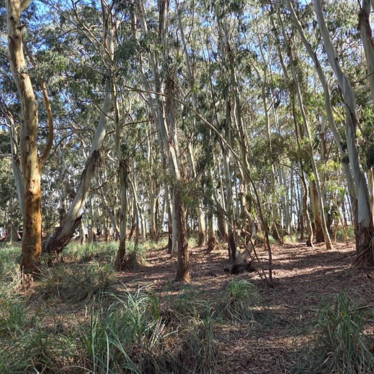 Al Bosque - Casa de 4 dormitorios - 17