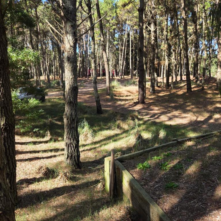 Al Bosque - Casa de 4 dormitorios - 18
