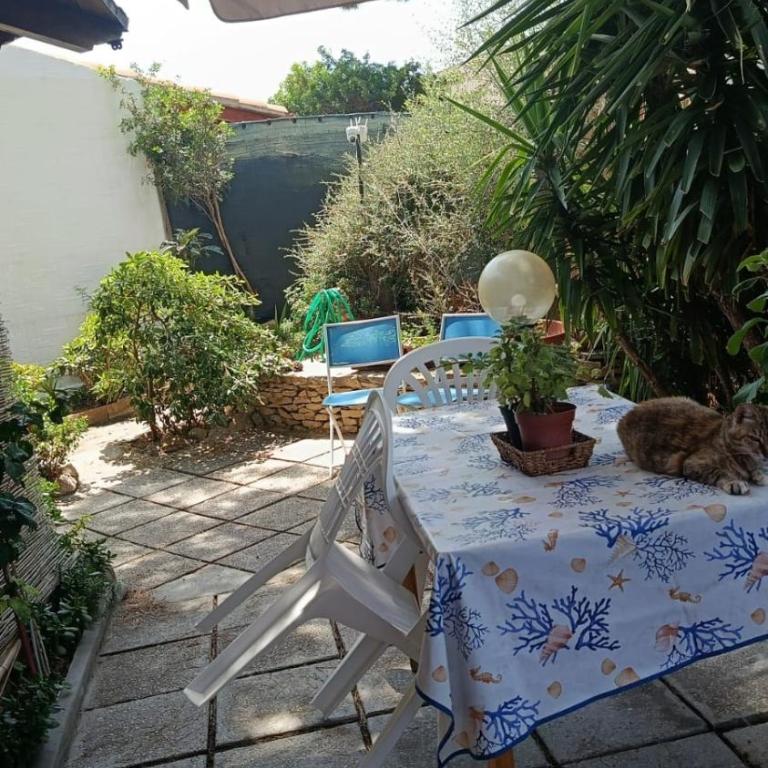 Sardegna,villino immerso nel verde a 150 MT dal mare - Casa con 2 Camere da Letto - 45