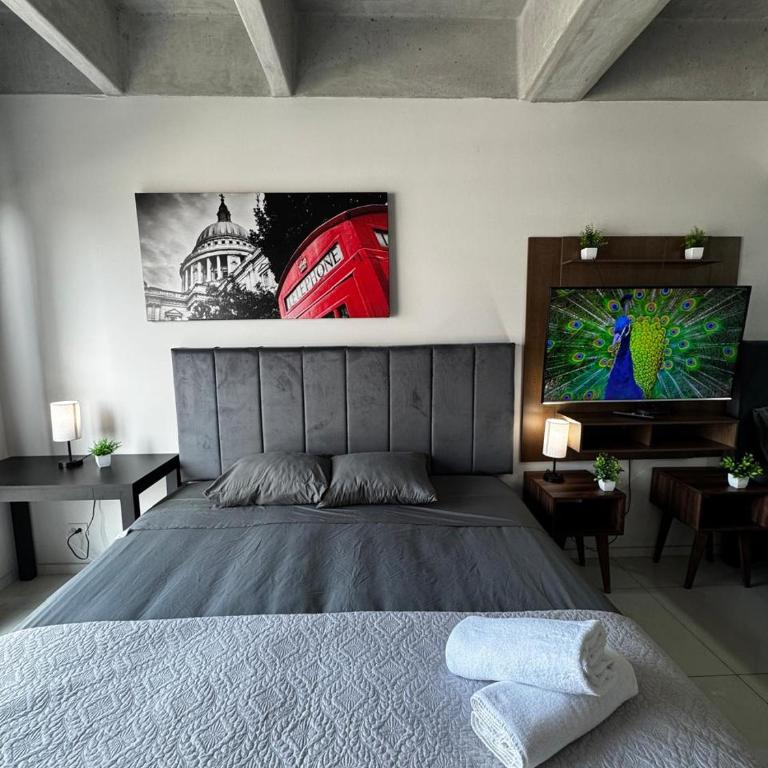 Premium suite Santa Lucia alberca, gym, kids club, parking 308 - Apartamento de 1 dormitorio - 5