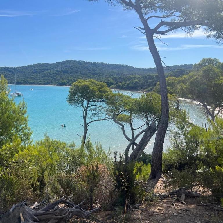 Studio avec terrasse vue mer, plage à 60m, parking - Apartment mit 1 Schlafzimmer - 4