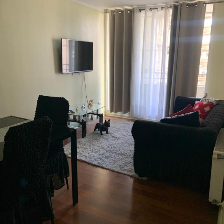 Gran santiago - One-Bedroom Apartment - 5