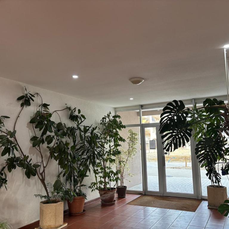 Studio cosy sur le port de saint-Cyprien - Apartamento de 1 dormitorio - 3