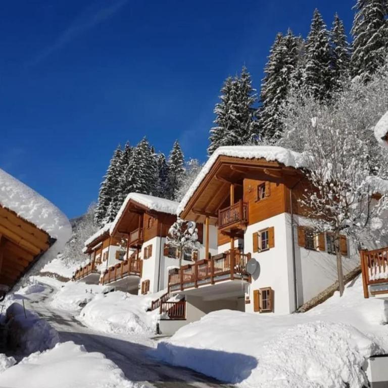 Spacious Detached Chalet in Holiday Village - Maison de Vacances 5 Chambres - 34