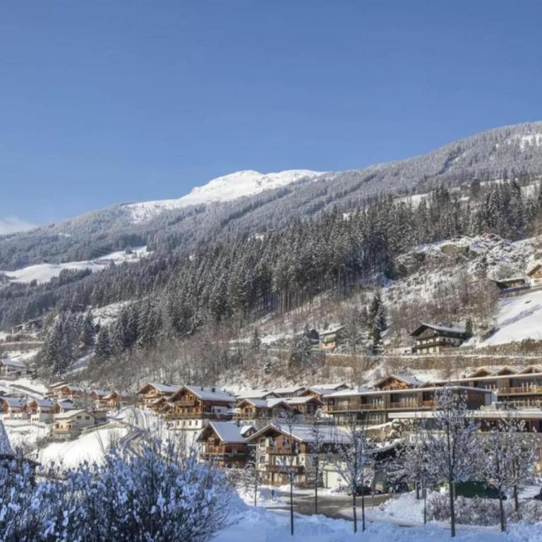 Schoneben Mountain Family Retreat - Maison de Vacances 4 Chambres - 42