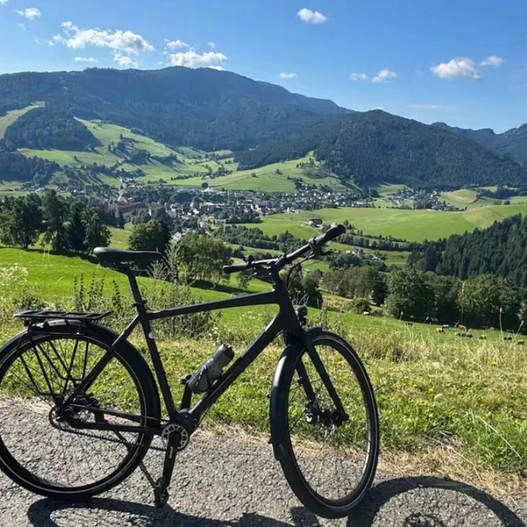 Zirbitz Hütte am Waldrand - Sauna, Kamin, Feuerstelle, Ausblick - Maison 3 Chambres - 16