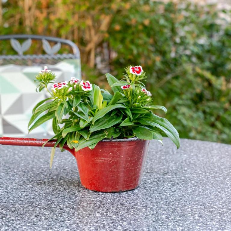 Ferienwohnung Maxl - Apartamento - Planta baja - 20