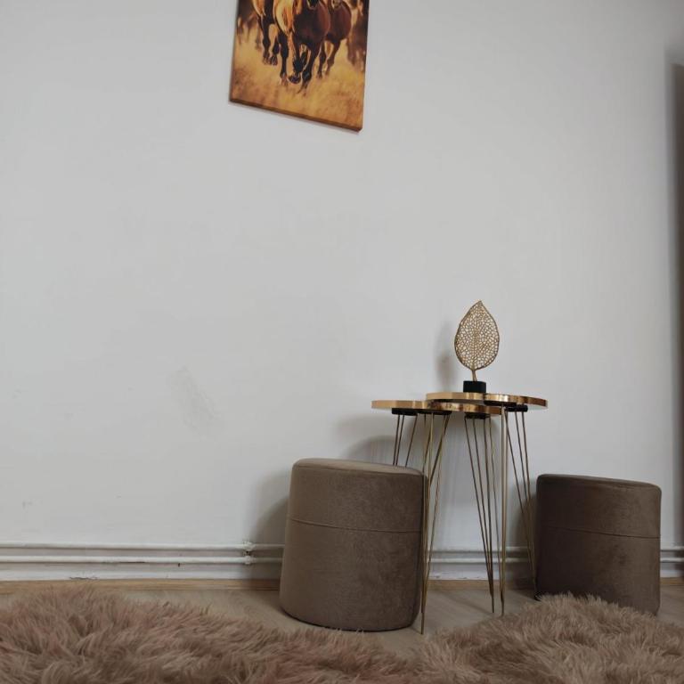 Apartmani Nana - Apartman sa 2 Spavaće Sobe - 16
