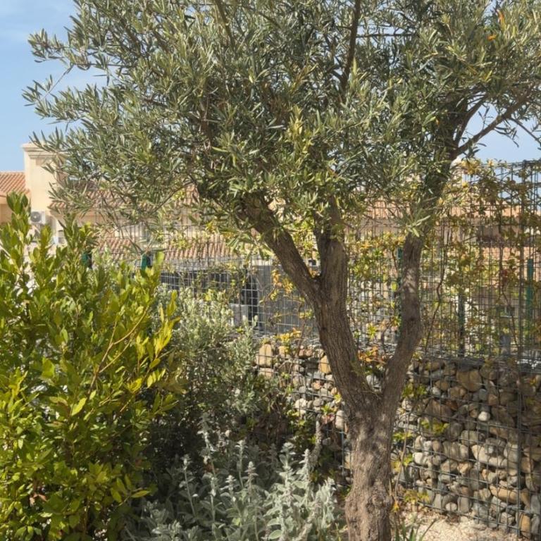 Alya Mijas - Casa Riviera - Luxury 3 Bedroom Villa - Villa de 3 dormitorios - 50
