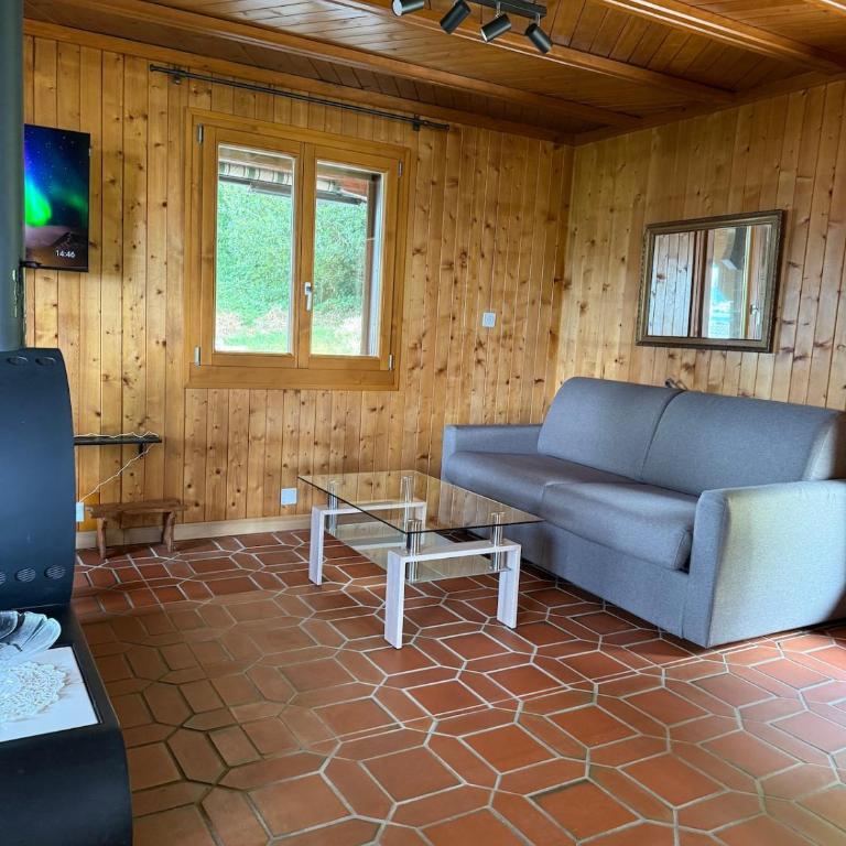 Beautiful, friendly chalet Lake Geneva view - Chalet - 6
