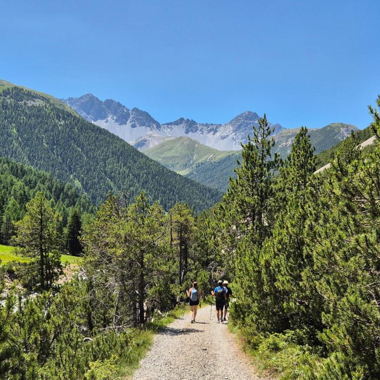 Chasa Aquileia Engadin Scuol - Bergblick, 6 Pers, zentral, Terrasse, Gratisparken - Apartment mit Blick auf die Berge - 77