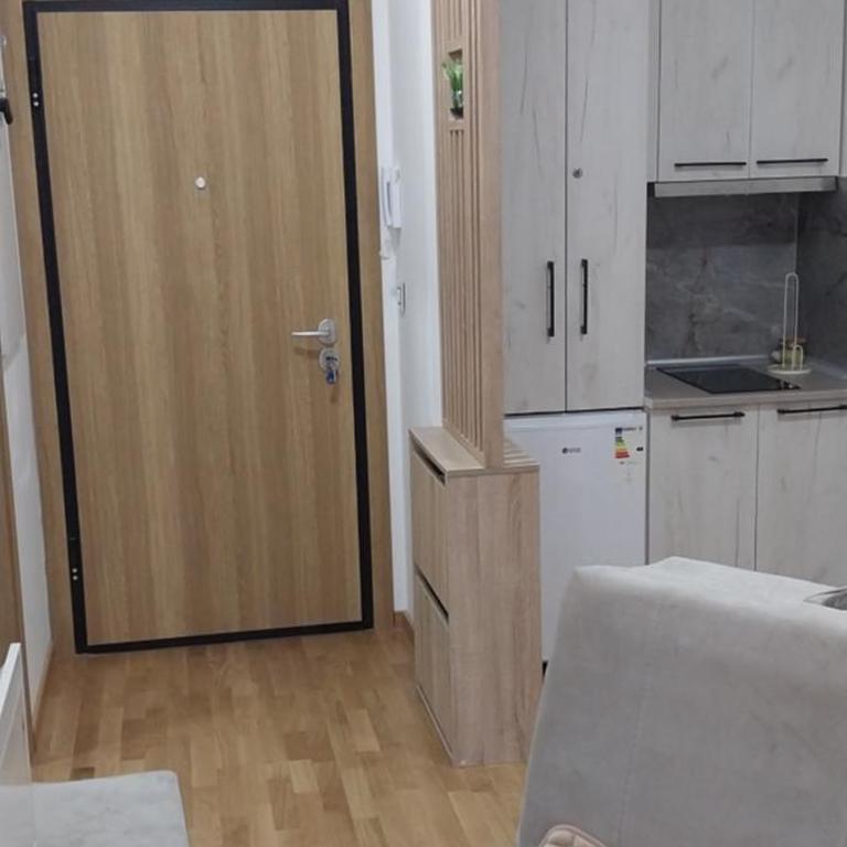 Alisa - One-Bedroom Apartment - 15